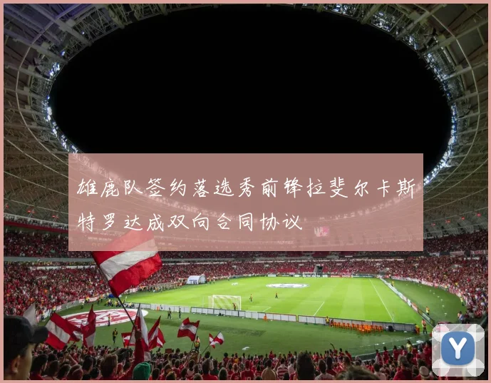 雄鹿队签约落选秀前锋拉斐尔卡斯特罗达成双向合同协议