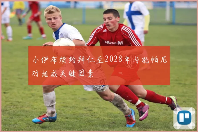 小伊布续约拜仁至2028年与孔帕尼对话成关键因素